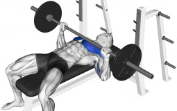 Chest exercises