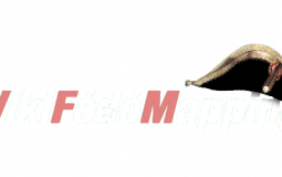 Membres de la Fédération du Mapping
