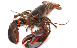 Fortnite Weapons Ch.3 Se.3