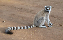 Calderstones Teachers