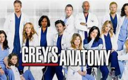 greys anatomy