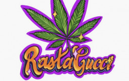 Discordians above level 10