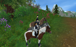 star stable NPCs