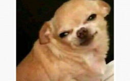 SMARTEST WILBO PEOPLE