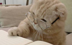 科学视频中我不喜欢的弹幕