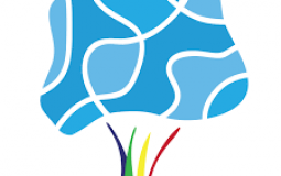 SDCC Power Rankings Year 11 (2020-2021)