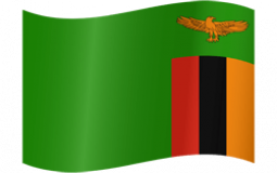 Zambian food tierlist