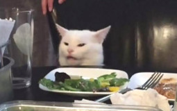 joy and 8's anime list