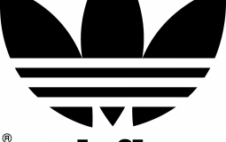 Best Sneaker Brands in 2023