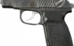 DayZ guns