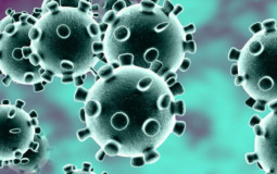 Virus list