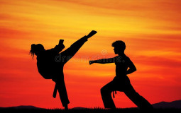 Martial Arts Ranking