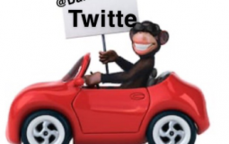 Official Monkey Tierlist (UPDATED)