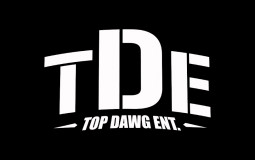 tde projects