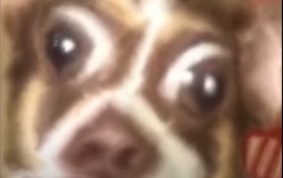 Trash albums by their title tracks