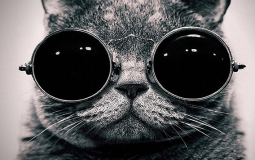 Одноклассники