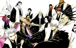 Bleach Captain