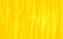 Top cu Tiktokeri Speciali