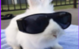 Who´s PFP would win in a fight