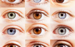 Colores de ojos