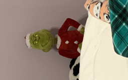 Seussical Characters