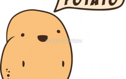 Welcher Storno tut am meisten Weh?