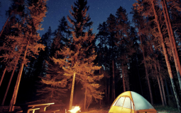 camp ynoah counselrs