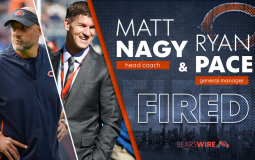 Bears Coaching canidates
