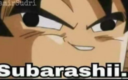 Elsword Waifu Material