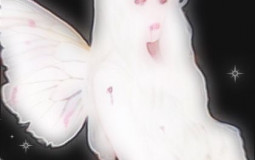 emmams ex boydriends