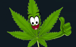 TOP PIORES MASCOTES DO FUTEBOL BRASILEIRO