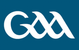 Irish County Jerseys