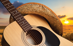 Country Artists