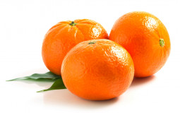 fruit
