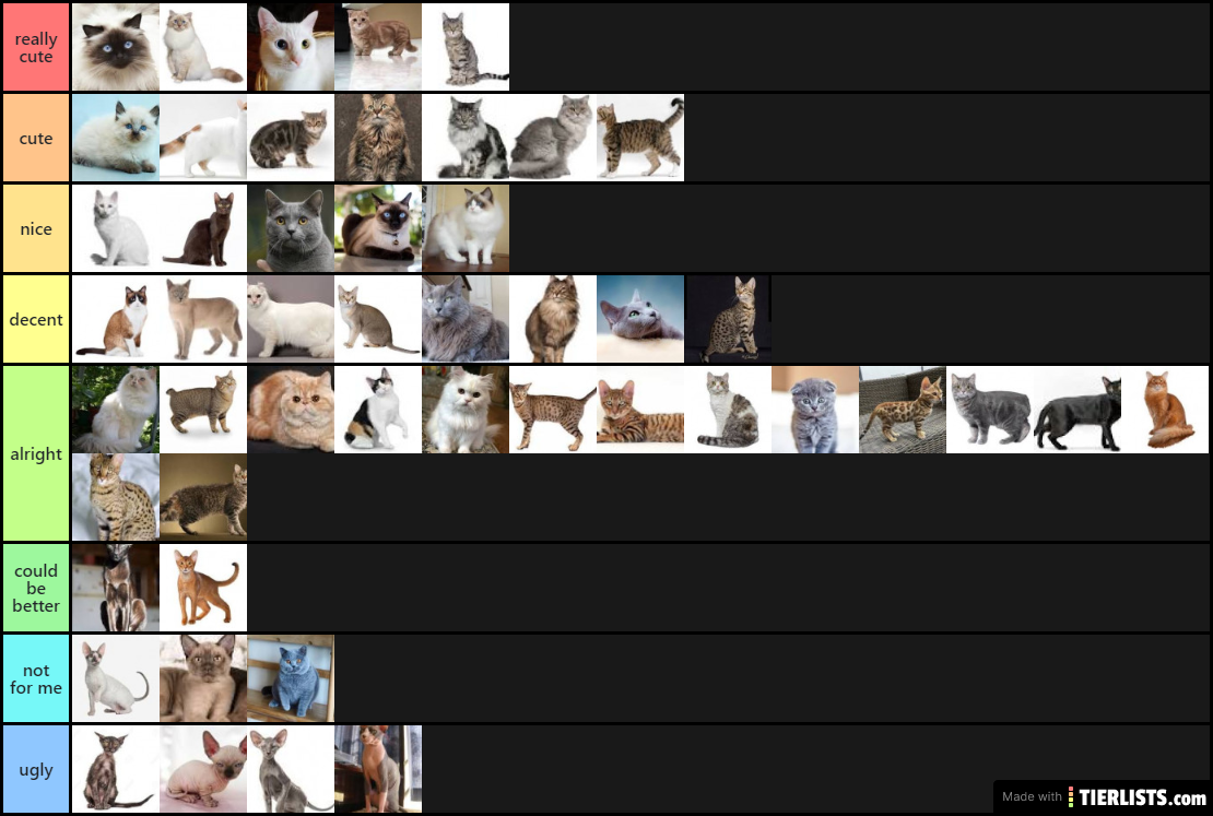 cat breeds