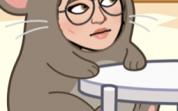 Tournaments 2021-2022