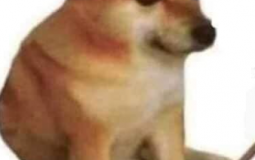 LÆRERER PÅ HARESKOV