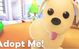Egg adopt me