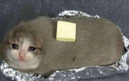 Alis favorite characters