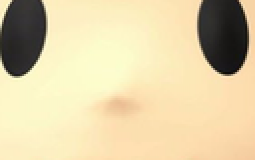 YOLO
