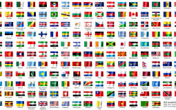 Ideal graduate careers for AUS-IR student