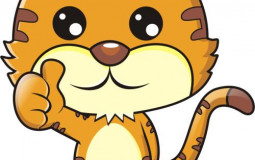 voip phone system service provider