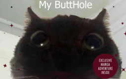 A Warrior Cats OC Thing