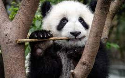 my private template please don't use this