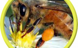 Video Games of Our Lives