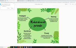 skola