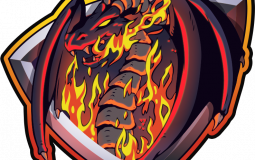 Dragons esport STAFF
