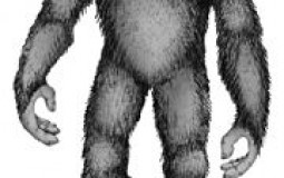 Cryptid