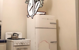 Gestalt characters ranked on dateability