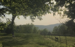 Деятельности